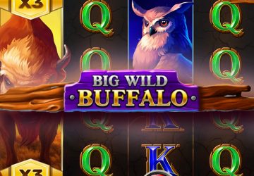 Игровой автомат Big Wild Buffalo в казино Апекс Спинс